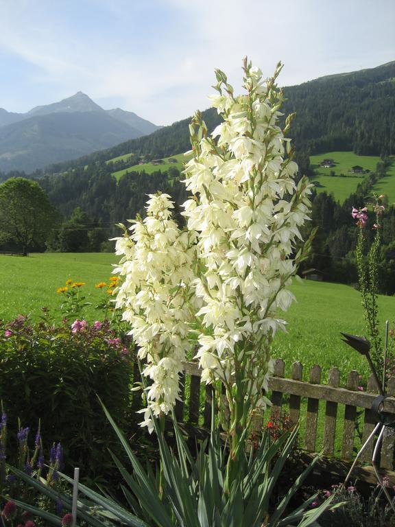 Apartment Acker Alpbach Exterior photo